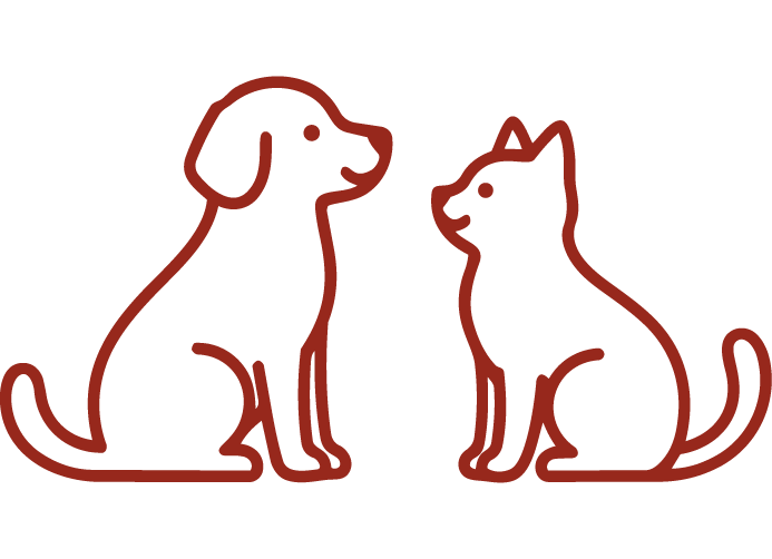 Animal Chiropractic