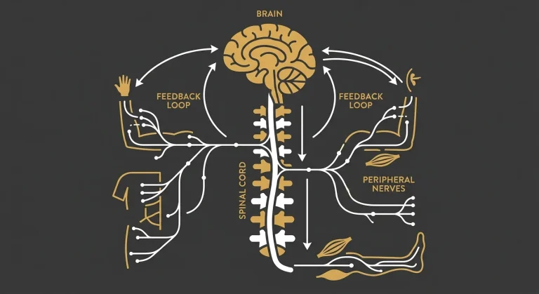 How your body communicates through ‘medical mystery’ symptoms.