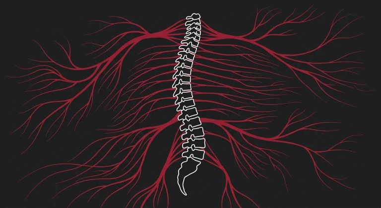 Functional Recovery vs. Standard Physical Therapy for Chronic Pain