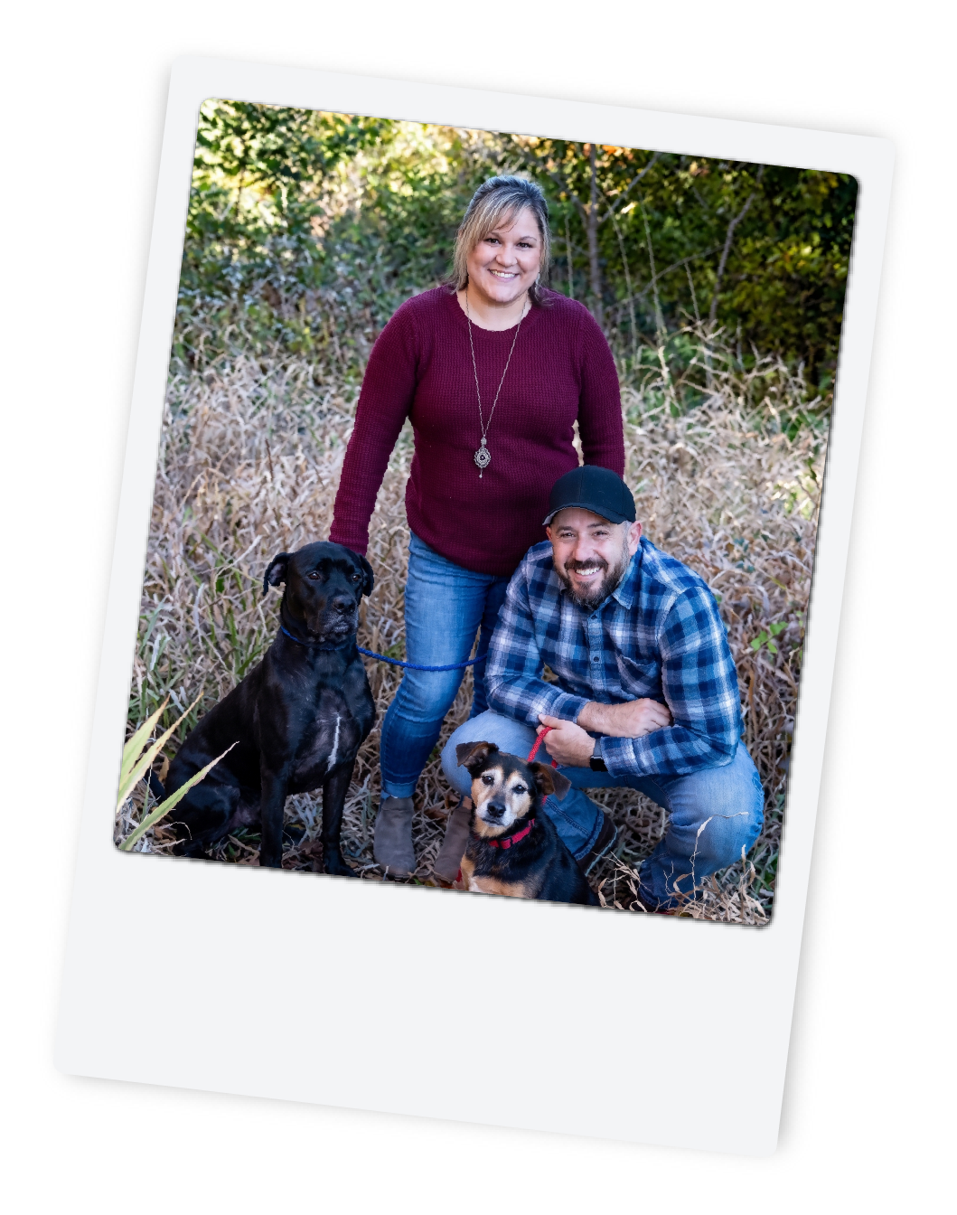 Whole family chiropractic care for people and pets Touch of Wellness Morton IL