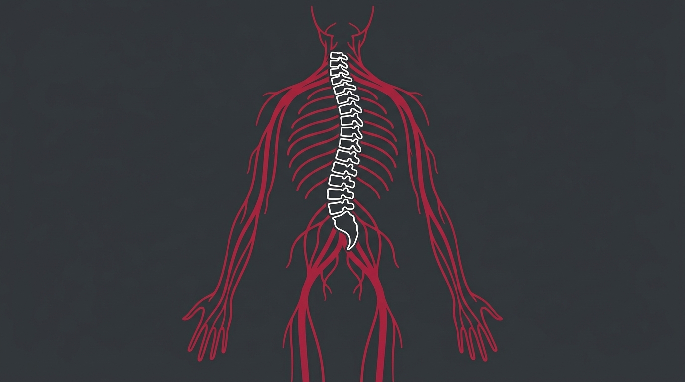 flat illustration contrasting an assembly line chiropractic approach with an individualized nerve assessment and care plan