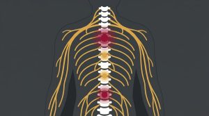 Nerve Restoration vs. Surgical Intervention: Choosing the Right Neuropathy Path