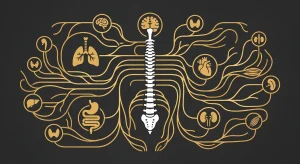 Systems Biology vs. Anatomical-Only Chiropractic Models