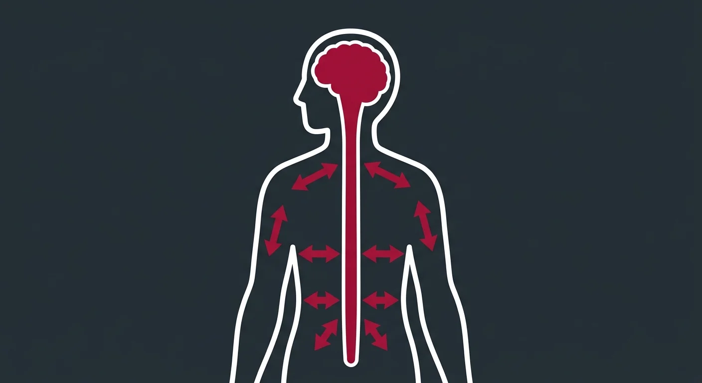 flat illustration showing nervous system connection between understanding and physical recovery in explanation driven care
