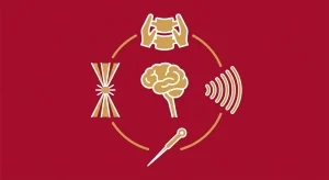 Why Touch of Wellness Focuses on Whole-Organism Clinical Health