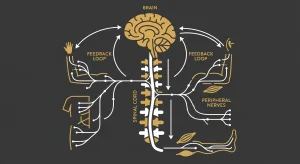 How your body communicates through ‘medical mystery’ symptoms.
