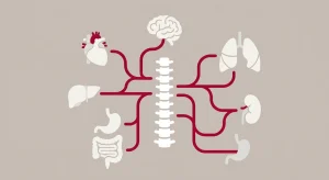 Beyond Symptom Chasing: How a Clinical Miracle Shaped Our Systems-Biology Approach to Chiropractic Care