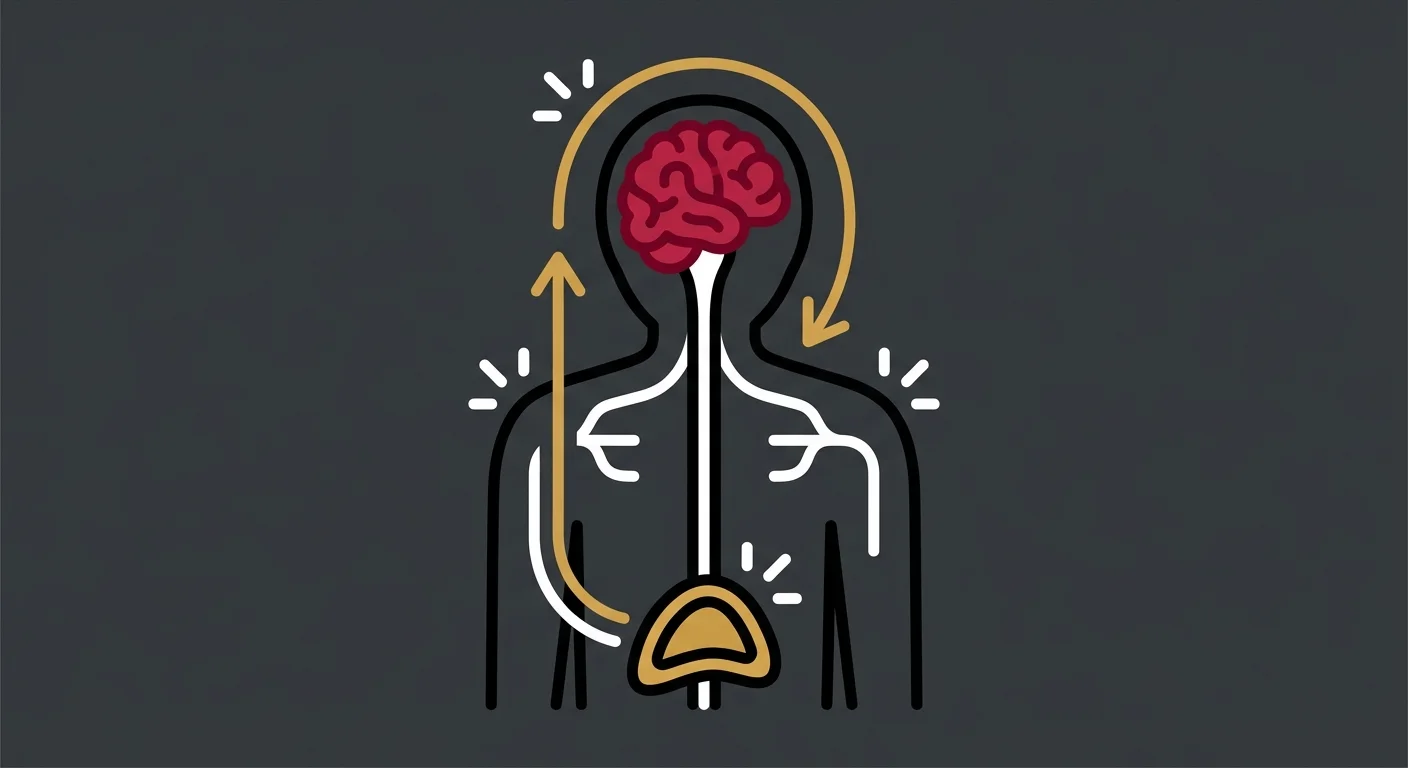 flat illustration of HPA axis cortisol feedback loop and sympathetic nervous system activation