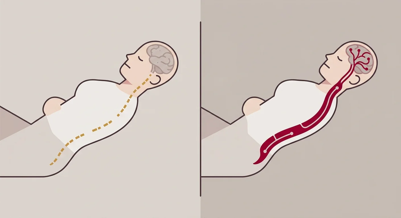 flat illustration comparing passive rest with active spinal nerve signal recovery