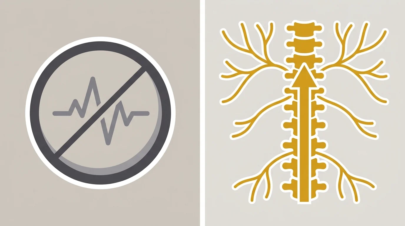 flat illustration comparing stress medication suppression to nervous system biological restoration