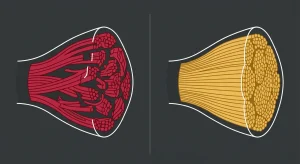 How Acoustic Waves Trigger Collagen Remodeling During Shockwave Therapy
