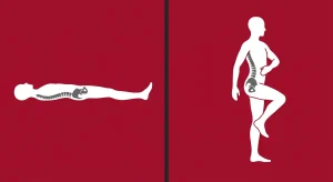 What Exercises Maintain Mobility During Functional Recovery?