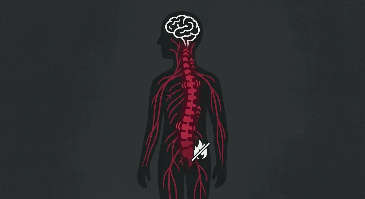 flat illustration of nervous system continuing to send pain signals after injury heals