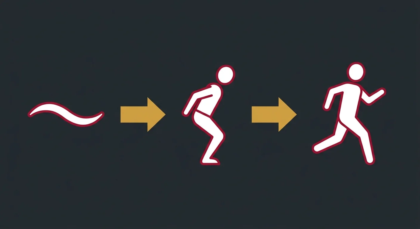 flat illustration three phase tendon loading progression after shockwave therapy