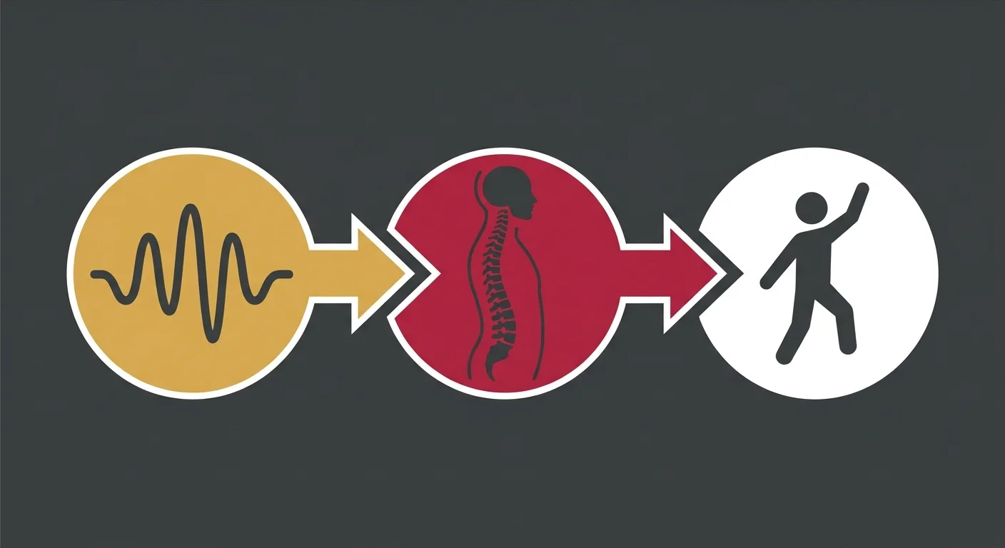 combined shockwave therapy chiropractic and loading protocol sequence diagram