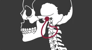 Post-Adjustment Ergonomics: How to Keep Your Neck and Jaw Aligned After Chiropractic Care