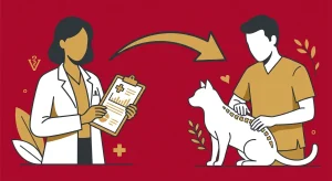 How Veterinarians and AVCA Certified Chiropractors Collaborate on Non-Surgical Care
