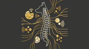 How to Measure Your Pet’s Mobility Progress After an Animal Chiropractic Adjustment