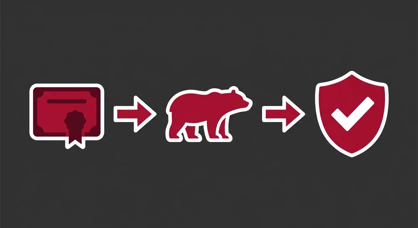 flat illustration of AVCA animal chiropractic certification training pathway
