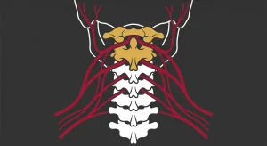 Chiropractic Adjustments vs Nightguards: Which Actually Resolves the Root Cause of TMJ?