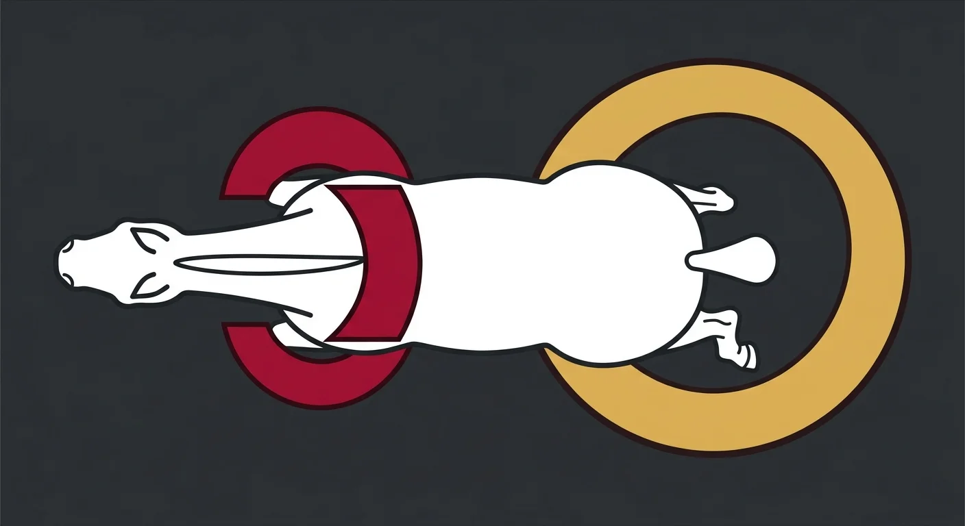 flat illustration of equine stride asymmetry showing shortened stride from spinal restriction