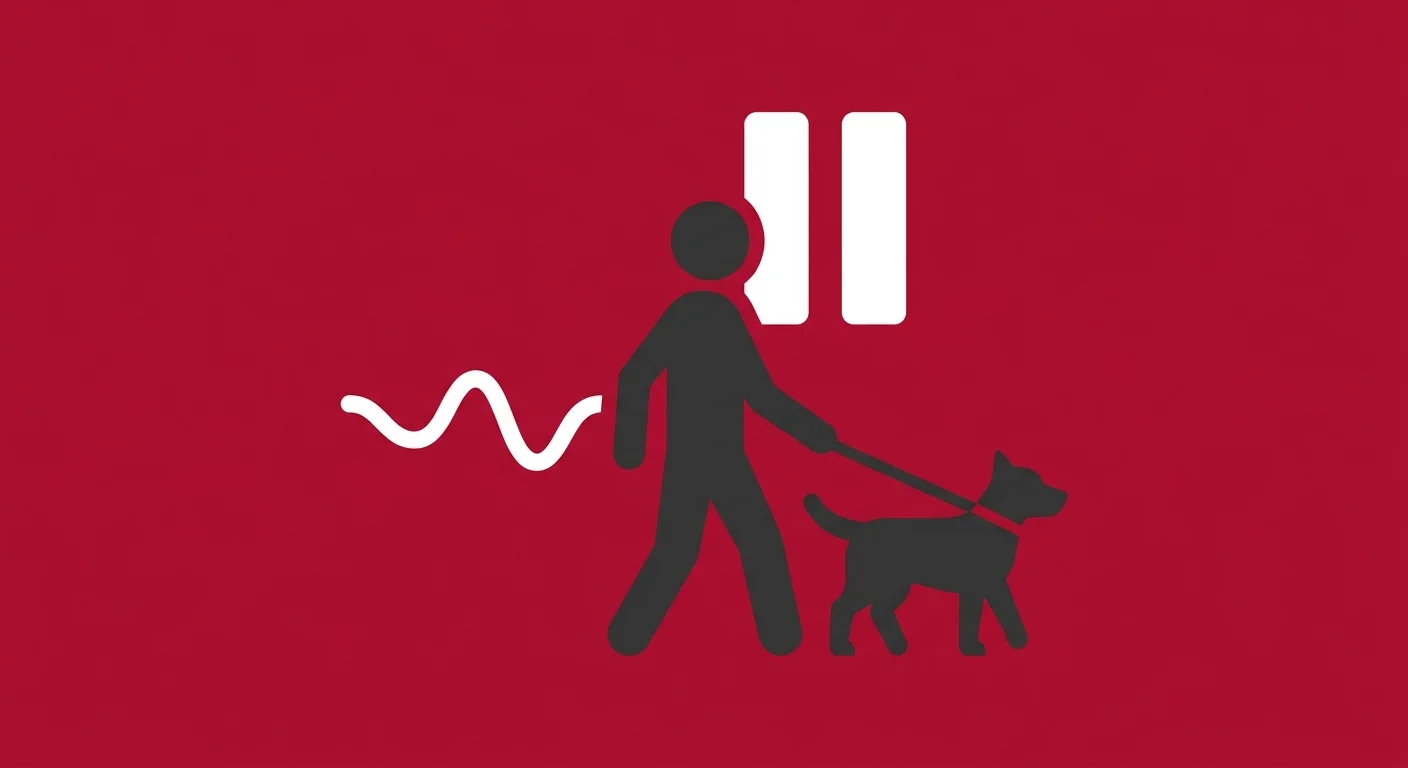 post adjustment pet activity restrictions leashed walking and recovery guidelines